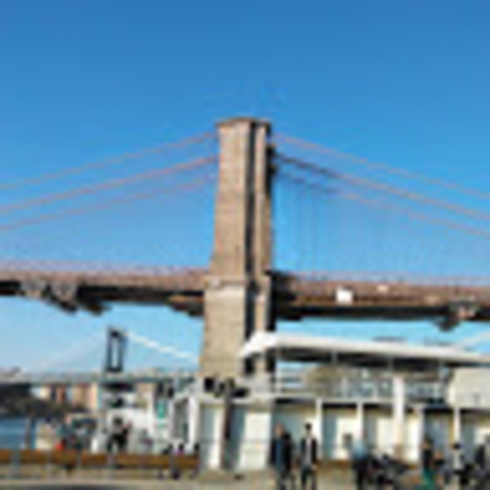 Meet your Posher, Shanice